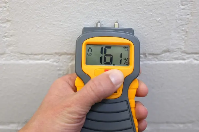 Moisture Meter testing a wall